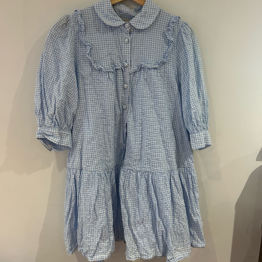 Sandy Liang x Target blue gingham cotton dress size Medium